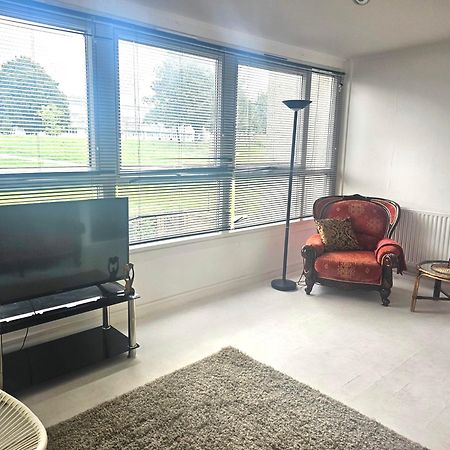 Lovely Shared Home, Excellent Transport, Games Room & Office Abbey Wood Eksteriør billede